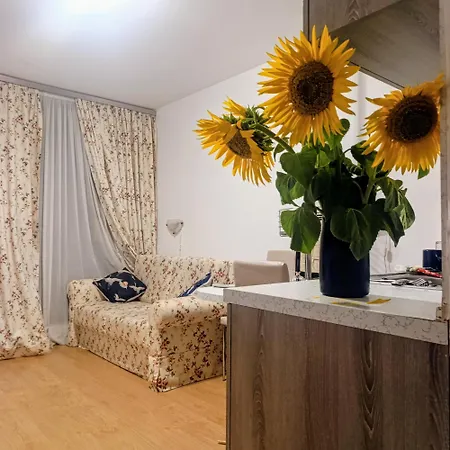 דירה Sunflower נסבר