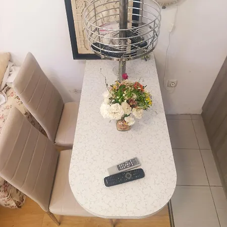 Sunflower דירה